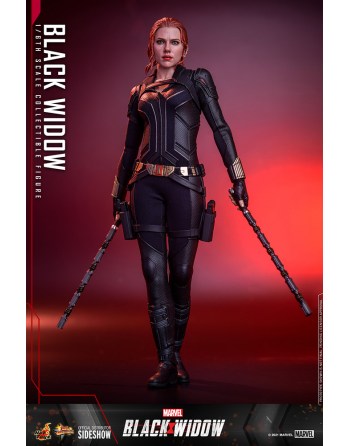 Hot Toys 1/6 Marvel: Black...