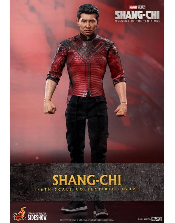 Hot Toys 1/6 Shang-Chi y la...