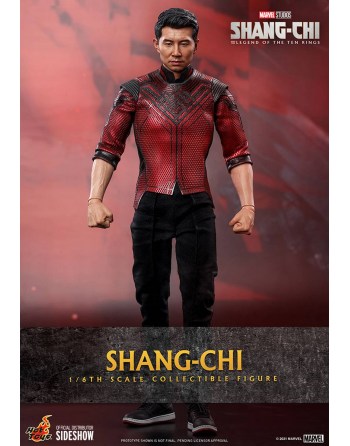 Hot Toys 1/6 Shang-Chi and...