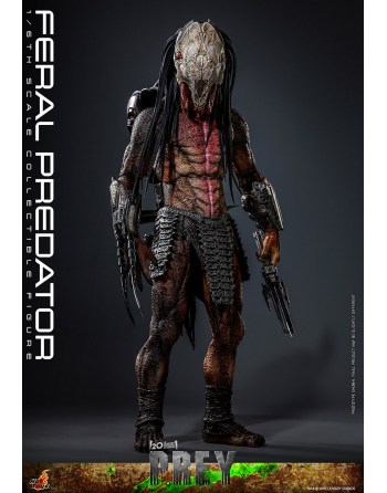 PREORDINE Hot Toys 1/6...