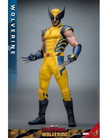 PREORDINE Hot Toys 1/6...